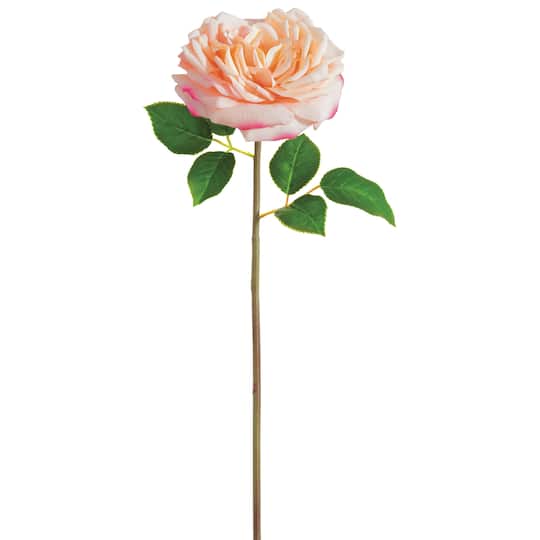 Light Pink Cabbage Rose Spray